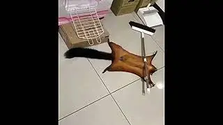 Give this guy an Oscar