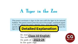 A Tiger in the Zoo 🐅 Class 10 English Detailed Explanation in Hindi
