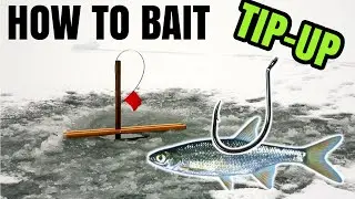 Two Minute Tips: Easiest Way to Bait Ice Fishing Trap Hooks