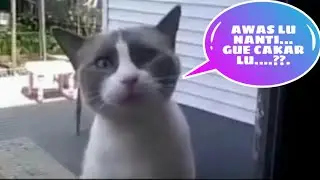 Video lucu bikin ngakak!!!!.... Dubbing jawa.