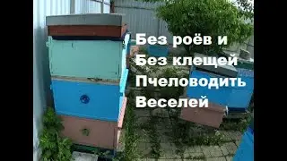 Пчеловодство без роёв. Метод : Всё включено ! Часть 1.