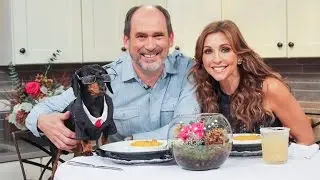 Sean O'Keefe cooks with Crusoe the Celebrity Dachshund!