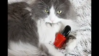 NOWOŚĆ! Recenzja perfum Si Passione Giorgio Armani