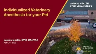Individualized Veterinary Anesthesia for your Pet