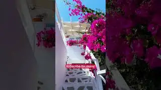 mamma mia summer in greece #foryou #fyp #viral #shorts #ytshorts #trending