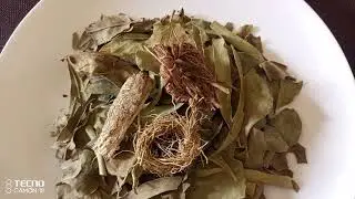 DINDI FINA.😂😂👌 avec BAKh familly numéro 766577126 776661870