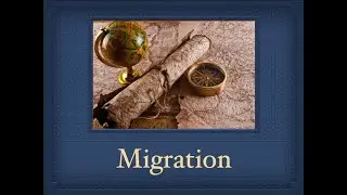 Migration