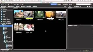 How to Automate Tasks in Photoshop