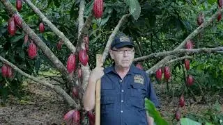 Hacianda San Cayetano Valle Canoabo