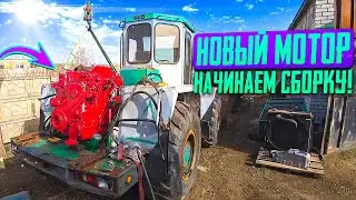 Восстанавливаю редкий погрузчик HANOMAG 44D! Сплошные сюрпризы.