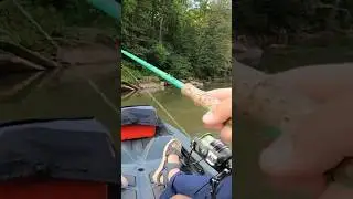 Calling my shots #topwater  #bassfishing #riverfishing