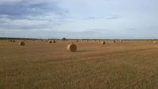 Утренняя погоня за охотником