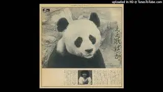 RURIKO OHGAMI - Karappo no pirukēsu