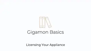 Gigamon Basics: Licensing your HC appliance – fixed licensing