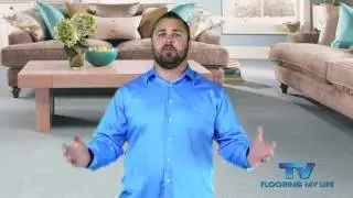 Pet Odor in Your Home
