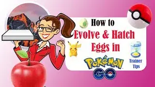 How to play POKÉMON GO Part 2 - Evolve and Hatch eggs  - Trainer Tips