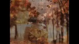The Fallen Leaves of Autumn by Tim Janis