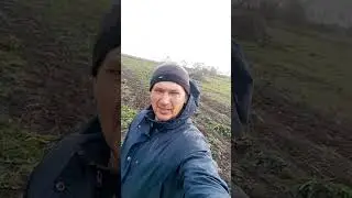 #садмечты