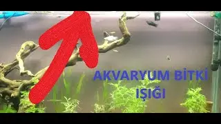 Akvaryum Bitki Işığı Alırken Dikkat Edilmesi Gerekenler | Akvarvaryum Bitki Işıklarımız Geldi!!!