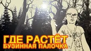 КАК НАЙТИ ВОЛШЕБНУЮ ПАЛОЧКУ? | В волшебном лесу растёт всё | Бузинная палочка своими руками (12+)