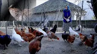 Secrets of Simple and Peaceful Rural Living