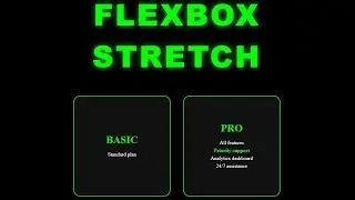 Flex Stretch CSS | Align-Items Stretch Explained 🔧