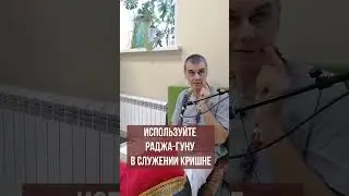Используйте раджа-гуну в служении Кришне. Вишну-таттва дас