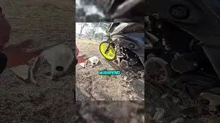 Die Biker rutschten auf verschüttetem Öl aus 🤕