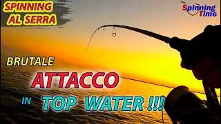SPINNING AL SERRA - BRUTALE ATTACCO IN TOP WATER !!!