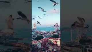 Милая, пожалуйста, найди в себе силы ещё раз подняться 🙏❤️ #shorts