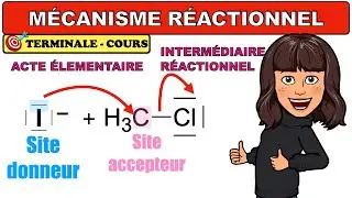 mécanisme réactionnel - CHIMIE - TERMINALE