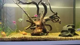 Ferplast Capri 80 . Fishtank 100 liters