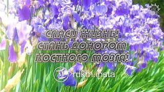 Донорство костного мозга в КРЫМУ