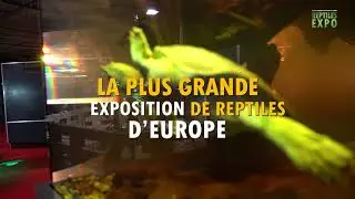 La plus grande Expo de reptile d 'Europe, à Cernier (NE)