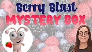 Berry Blast Mystery box