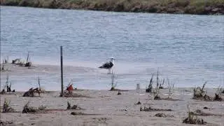 San Dieguito River Park