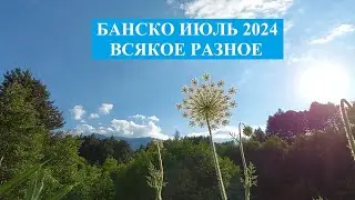 БАНСКО ИЮЛЬ 2024: ВСЯКОЕ РАЗНОЕ