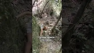 ТЕБЕ 40+? ТОГДА ПОРА) #упражнения #осанка #упражнениядома