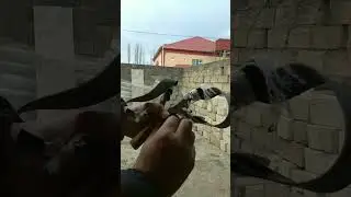 Slingshot In The World ►118 #shorts #slingshot #hunting #hunter #slingshotking