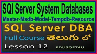 System Databases in SQL Server - SQL Server DBA Complete Course in Telugu - Lesson 12