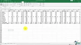 Excel Custom Views: How to use Custom Views in Excel