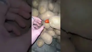 Момо момо а ты момо