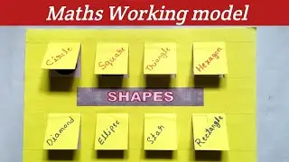 Mathematics Working Model for class 9 | Maths Working Project | Maths Working Activity