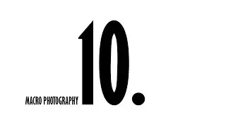 Macro photography - 10. #shorts #macro #photography #sonya7r3 #cone