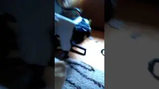 Снимаим жэлуди