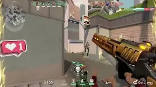 Chamber Montage