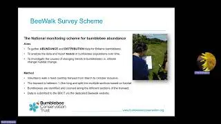 BeeWalk tutorial: What is BeeWalk and how to get started