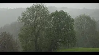 Видео для крепкого сна! Дождь, до утра. #live #relaxing