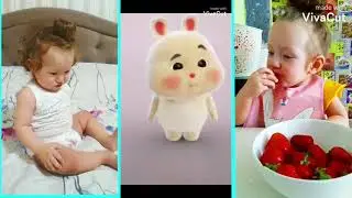 Super cute fat rabbit 2 part.Tiktok compilation with green rabbit