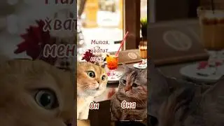 Твоя фамилия #отношения #юмор
